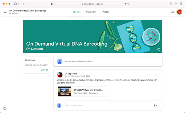 Screenshot of example Google Classroom webpage