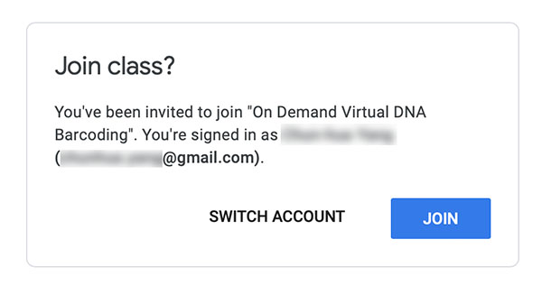 Screenshot of example Google Classroom join class  window