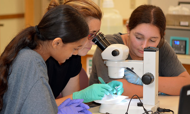 Two students look on as an educator looks through a microscope