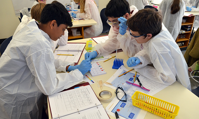 Three students in white lab coats and blue gloves work together on a forensic science experiment.
