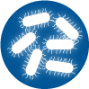 glowing bacteria illustration